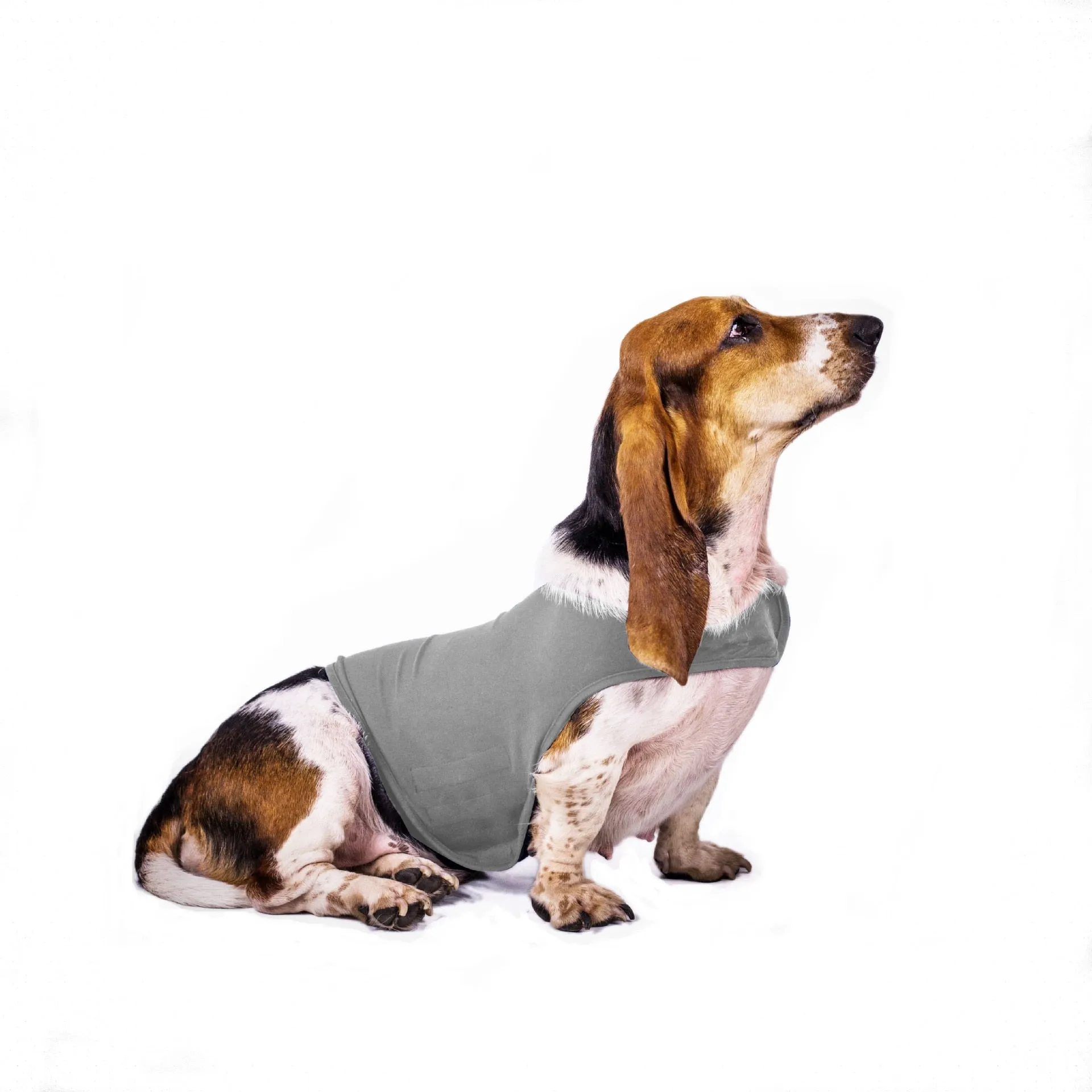 AnniePaw Dog Thunder Shirt Anti-Anxiety Decompression Relief Vest