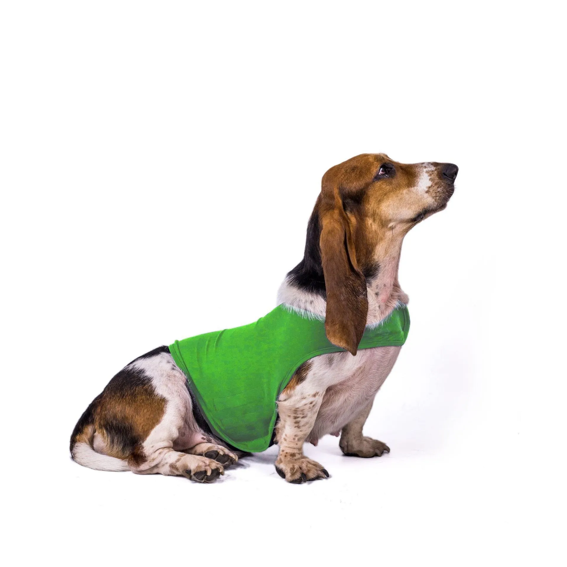 AnniePaw Dog Thunder Shirt Anti-Anxiety Decompression Relief Vest