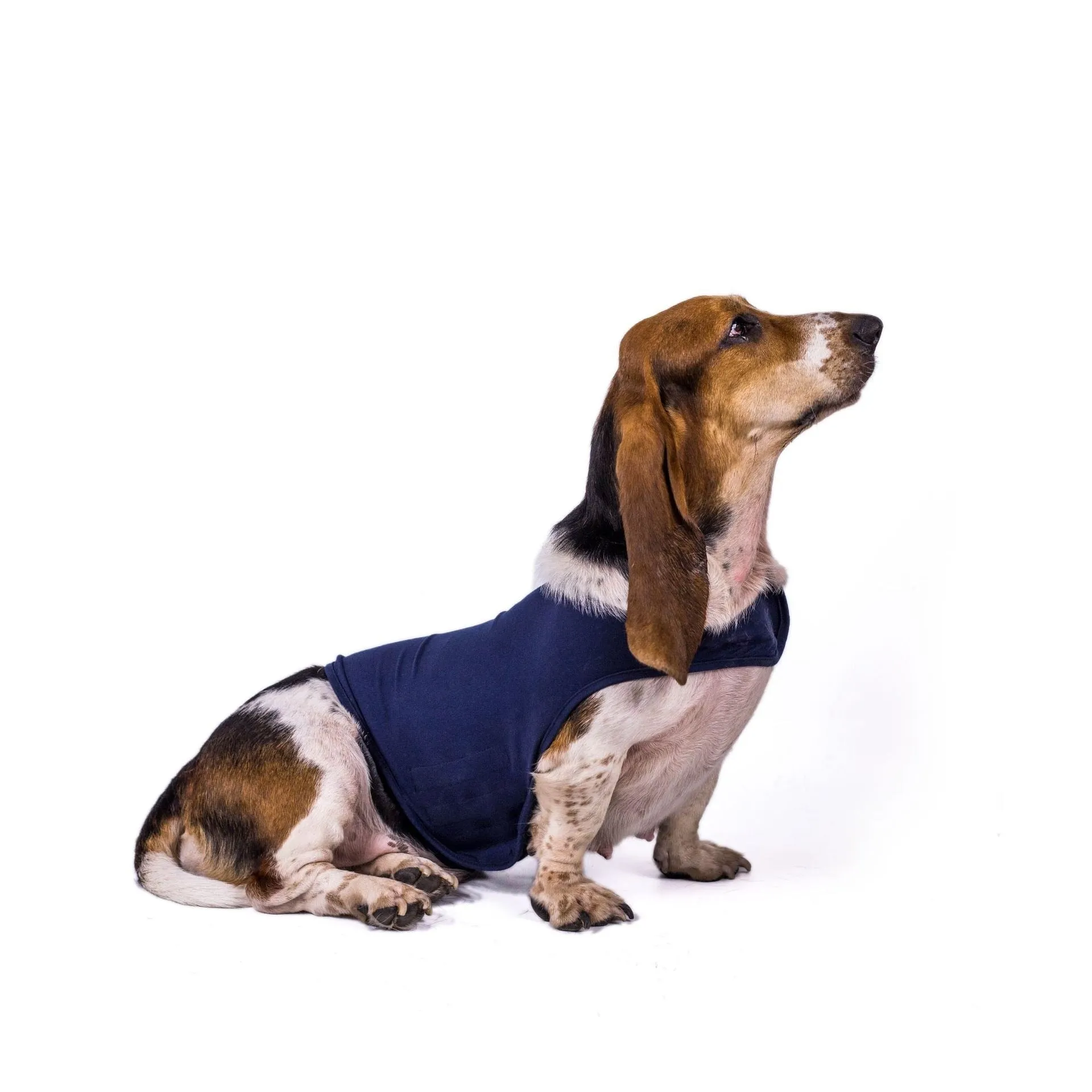 AnniePaw Dog Thunder Shirt Anti-Anxiety Decompression Relief Vest