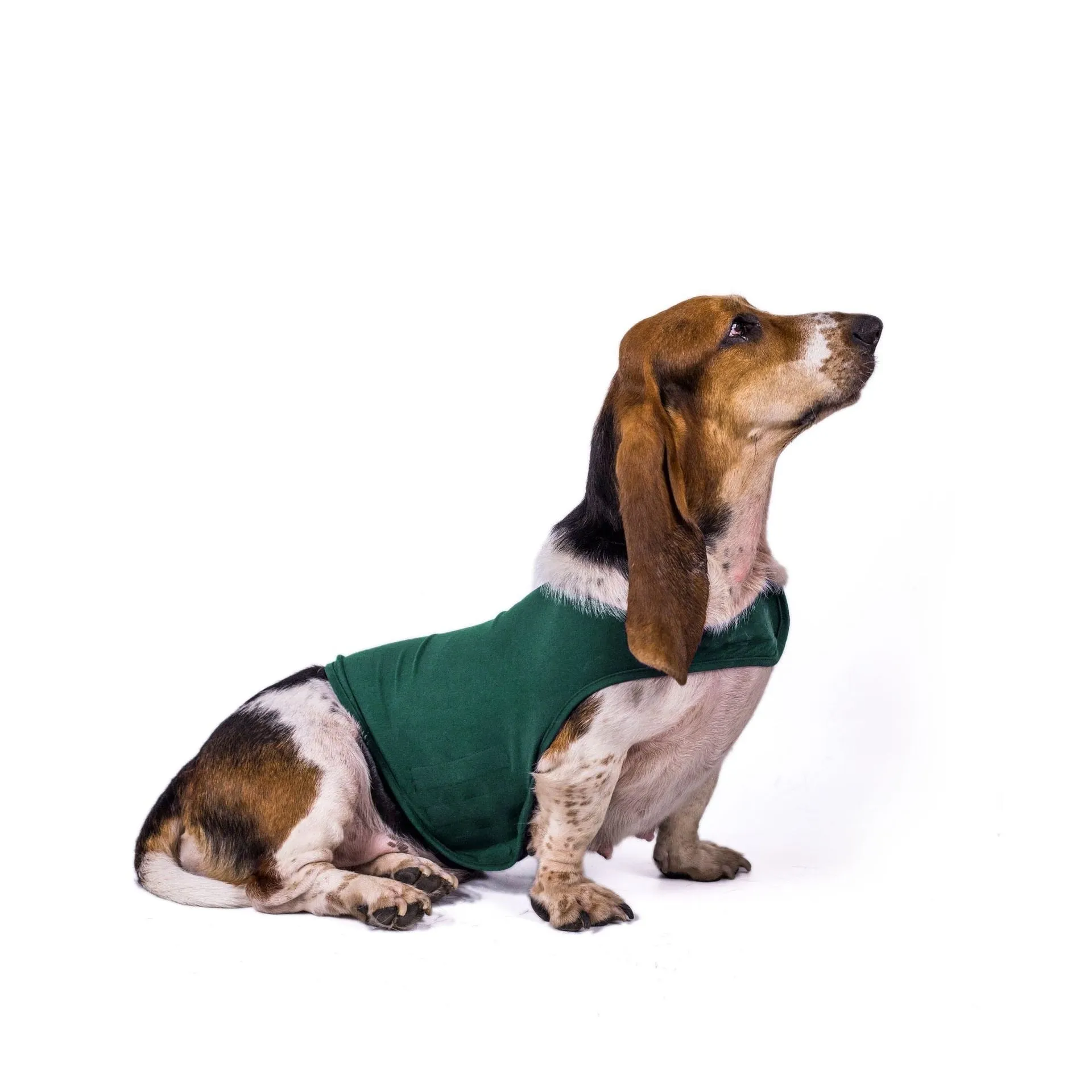 AnniePaw Dog Thunder Shirt Anti-Anxiety Decompression Relief Vest