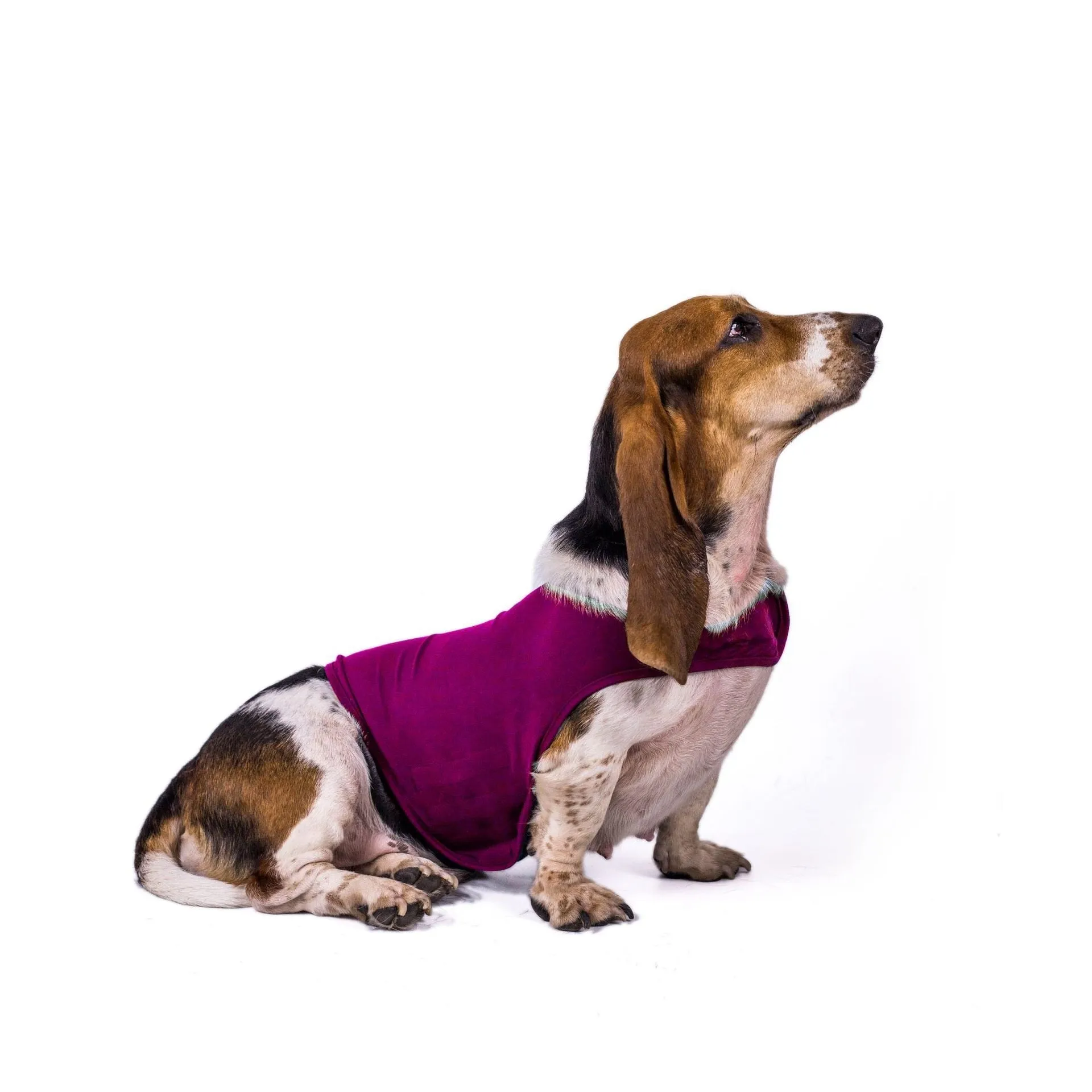 AnniePaw Dog Thunder Shirt Anti-Anxiety Decompression Relief Vest