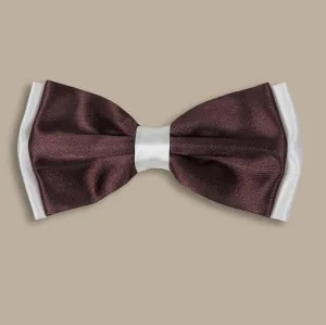 Gray & Brown Double-Faced Satin Bowtie